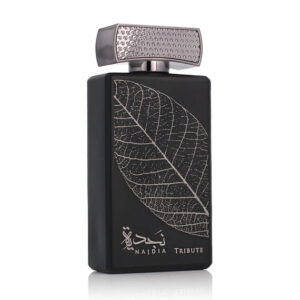 Najdia – Inspiration Invictus De Paco Rabanne